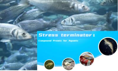 China Aquatic Feed Additive Stress Terminator Anti Stress Water Soluble for sale