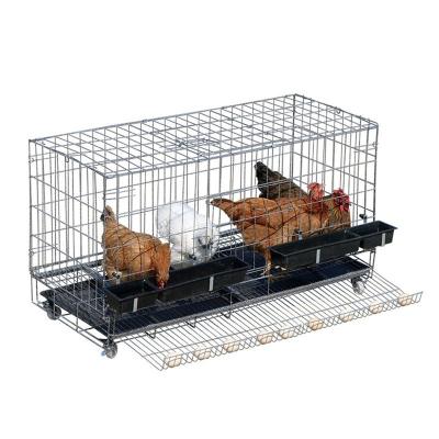 China High Quality Professional Plastic Chicken Cage Cage Viable Hot Selling Large Chicken Wire Chicken Cage for sale