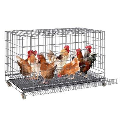 China Custom New Design Wire Poultry Farm Layer Cage System Cheap Chicken Poultry Cage Viable for sale