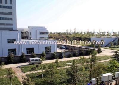 China Considerate Design Commercial Metal Buildings , Light Steel Frame Construction Homes for sale