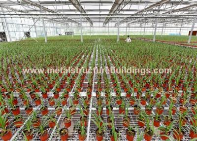 China Multifunctional Agricultural Buildings And Structures Professional Customized for sale