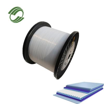 China Hohe Festigkeit Anti-statische Niedrigverlängerung Pet Filament für Besen 0,08mm-0,3mm Durchmesser zu verkaufen