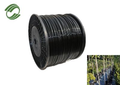 Κίνα Monofilament πολυεστέρα 1mm 2mm 3mm νήμα για Trellis αμπελώνων τη γραμμή προς πώληση