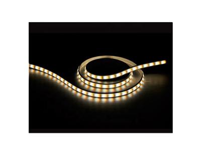 China LANDSCAPE New Arrival High CRI 24V Color Temperature 10W Outdoor Adjustable Led Strip Light / Led Strip Grow Light for sale