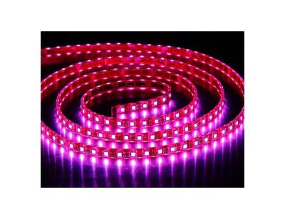 China Outdoor Decoration SMD 5050 Flexible RGB Led Strip Waterproof 14.4W LANDSCAPE Led Strip for sale