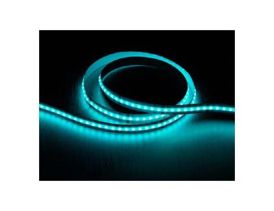 China LANDSCAPE LED Strip Decoration COB 560 Chips RGBW Outdoor Waterproof Dotless Led Light Strip for sale