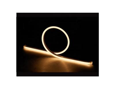 China Cheap Price 24V Durable LANDSCAPE Vertical Bending Waterproof 8x17mm 5W 6500K Flat Shape LED Neon Strip Light Outdoor for sale