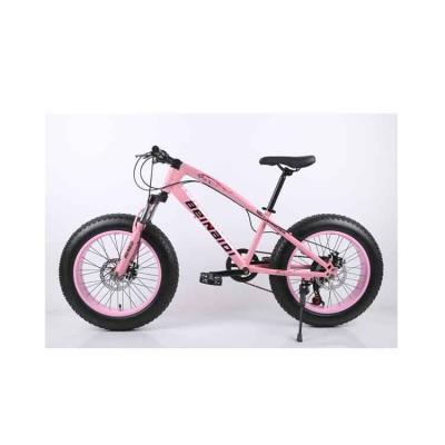 China China Factory Wholesale High Carbon Steel Material Fat Tire 20 Inch Snow Beach Cruiser Bike Bicycle for sale