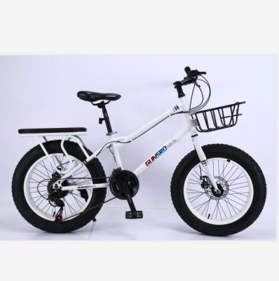 China China Factory Wholesale High Carbon Steel Material 20 Inch Fat Tire Fat Bike Fat Tire Bicycle for sale