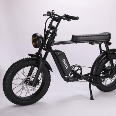 China Aluminum Alloy MXUS 20inch 48V 750W Fat Rear Hub Electric Ebike for sale