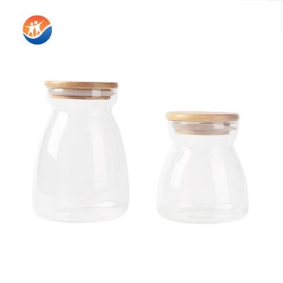 China Eco-freindly High Boron Silicon Food Glass Storage Jar For Canning And Stored Glass Cookie Jar With Cork for sale