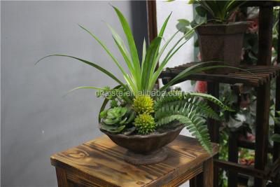 China Factory Price High Density Lifelike Artificial Succulents Wholesale Plastic /Potted Mini Cactus For Home Or Office Decoration for sale