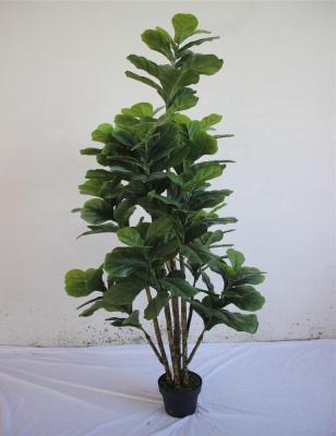 China Plastic Ornamental Artificial Plant Laurel Leaf Ficus Pandurata Hance Shap Bonsai Tree E10 05103 1.7m Tall Waterproof for sale