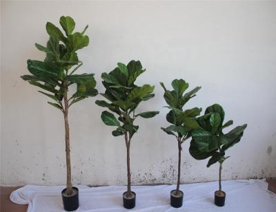 China 1ft to 10ft Tall Ornamental Artificial Plant Laurel Leaf Pandurata Ficus Hance Shap Bonsai Plastic Tree E10 05228 for sale