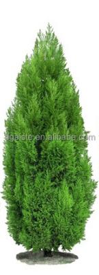 China Artificial Plastic Green Potted Arborvitae Acuson Cypress Plywood Tree EZ08 2502 Decoration 5m Tall Plastic for sale