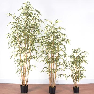 China Can use indoor outdoor artificial bamboo plantas de hias de tanaman evergreen plastic real lucky bamboo stem tree artificial bamboo ornamentals for sale