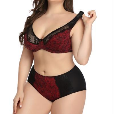 China European and American Printed Women's Large Lace Bra Suit New Anti-UV Big Bra Underwear for sale