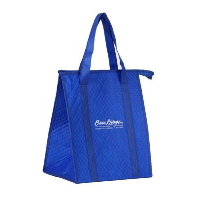 China Waterproof Recycled Eco Folding Non Woven Picnic Cooler Food Bag For Adults for sale