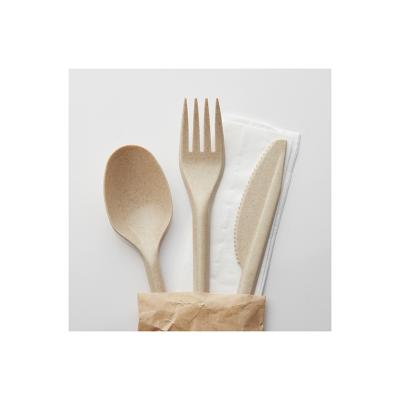 China Disposable Biodegradable Bamboo Professional Cutlery Spoon Knife Fork Napkin 4 in 1 Set for sale