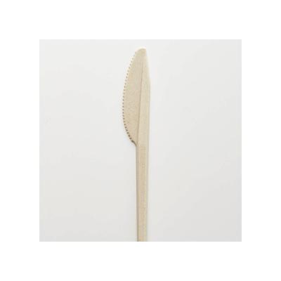 China Professional Disposable Biodegradable Bamboo Knife for sale