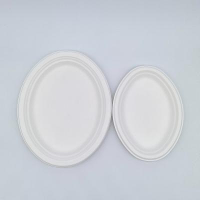 China Environmental Protection Sturdy Biodegradable Bagasse Plates Bagasse Pulp Products for sale