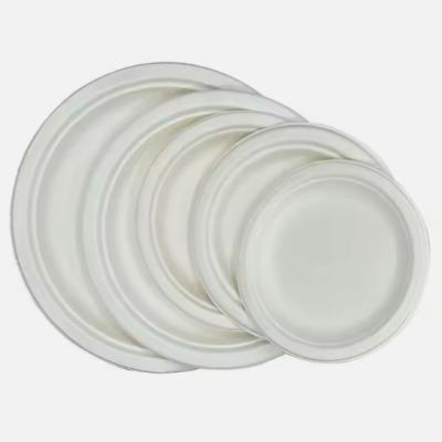 China 7 pulgadas de pulpa redonda biodegradable platos desechables placas congelador en venta