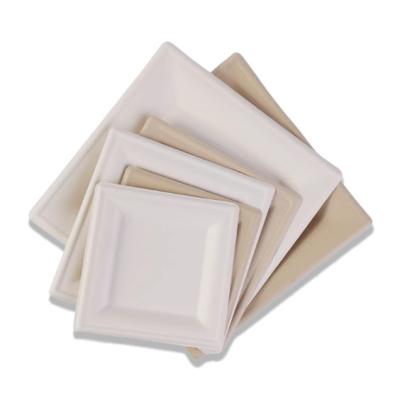 China 6 Inch Disposable Bagasse Compostable Square Paper Plates Large Square Dinner Plates Biodegradable for sale