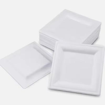 China Microwavable 10 Inch Square Paper Plates Disposable Bagasse Plates Compostable for sale