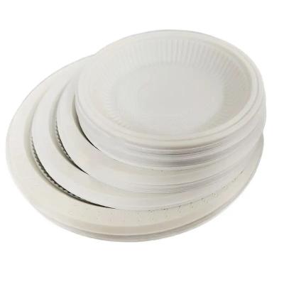 China Greaseproof Microwavable Biodegradable Food Container Disposable Bagasse Plate for sale