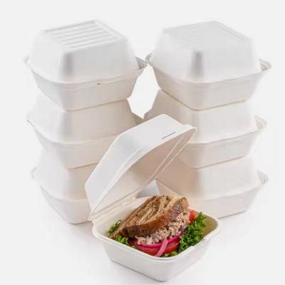 China Einzelzell Bagasse Lunchbox Wegwerf-Bagasse Lebensmittelbehälter 8 Zoll zu verkaufen