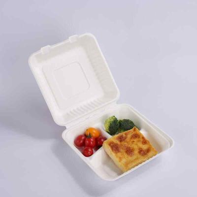 China Disposable Bagasse Food Container 9 Inch Burger Box 3 Compartment for sale