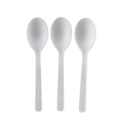 China Composatable Biodegradable Free Spoon For Party Restaurant CPLA Disposable Spoon for sale