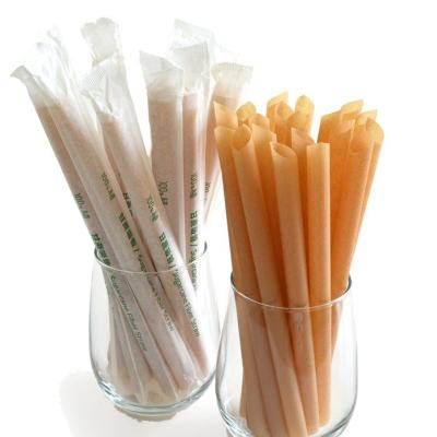 China Customized Smoothie Bagasse Drinking straws Sugarcane Fiber Environmentally Friendly Material Bagasse Straws for sale