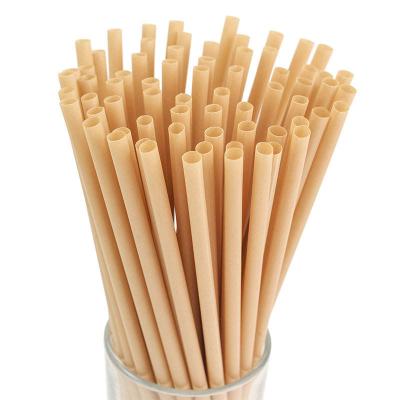 China Wholesale Disposable Biodegradables Bagasse Drinking Straws For Party for sale