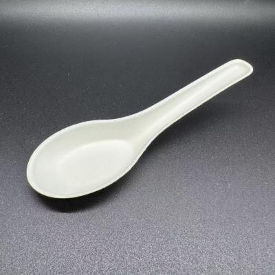 China Hot Selling Molded Fiber Bagasse Pulp Spoon Eco-Friendly Disposable Utensil Canteen for sale