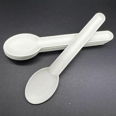 China Bio Technology Co. Ltd. Paper Pulp Cutlery Biodegradable and Compostable Heat Resistant for sale