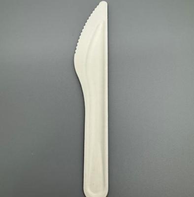 China Eco Friendly Compostable Degradable Disposable Sugarcane Bagasse Paper Pulp Knife for sale