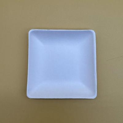 China Wholesales Disposable Degradable Rectangular Sushi Plate Dipping Saucer Fits Sushi Dumpling Snack Chips for sale