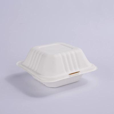 China 350 capacity Takeaway boxes Disposable biodegradable rigid foam food containers for sale