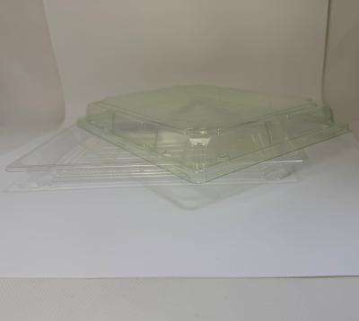 China PLA Biodegradable Packaging Container Customized Size Logo Disposable Plastic Serving Trays PLA Food Tray for sale