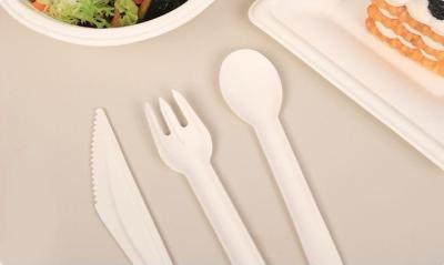 China GZ Bio 4 inches Disposable Paper Cutlery Set Spoon with Kraft Paper Outer Packing Pattern Design for sale