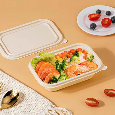 China GZ Bio Disposable Cornstarch Lunch Box Restaurant Takeout Plastic Food Container for sale