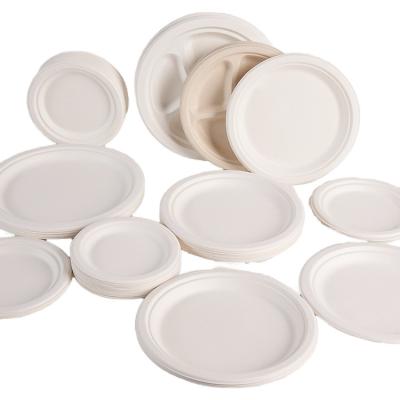 China Disposable Dinnerware Set Pulp Sugarcane Sugar Cane Paper Tableware Square Round Oval Bagasse Plate for sale