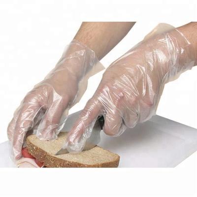 China Disposable PE Cleaning Gloves for sale