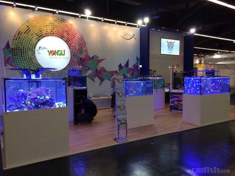 Verified China supplier - ShanDong YOLI Aquarium Products Co., Ltd.