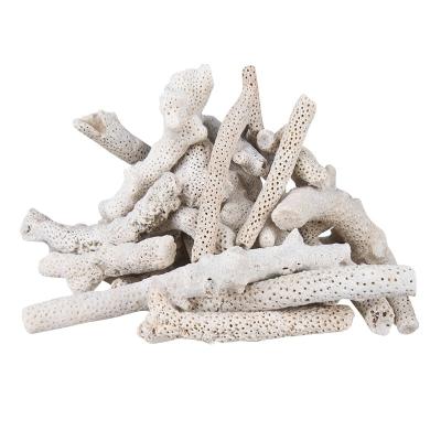 China Viable aquarium landscaping sand coral stone coral aquarium landscaping natural stone coral bone bottom sand for sale