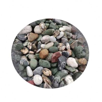 China Small Viable Aquarium Decoration Natural Home Stone Cobblestone Yard Landscaping Stone Paving for sale