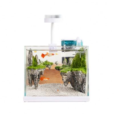 China Viable small desktop aquarium, small aquarium glass desktop small aquarium, for sale