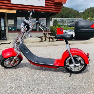 China Amoto Unisex EEC Certified 60V 1000-2000W 2 Wheel Citycoco Fat Tire Electric Scooter Electric Motorcycle for sale