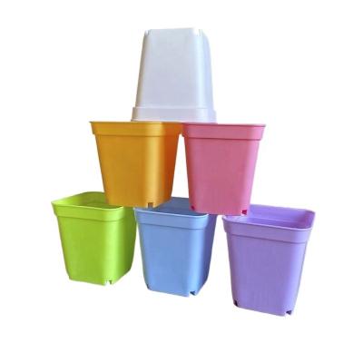 China Modern Eco-friendly Material Optional Color Resin Root Indoor Desktop Green Planting Flowerpot for sale